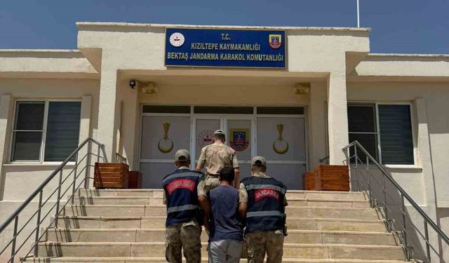 Mardin’de hayvanlara ilişkin uygunsuz paylaşım yapan şahıs gözaltına alındı