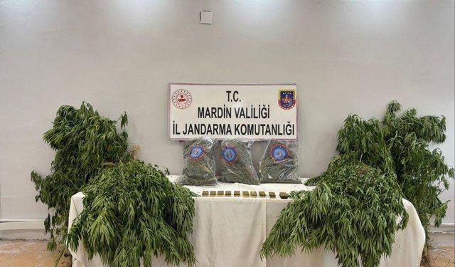 Mardin’de uyuşturucu operasyonu: 1 tutuklama