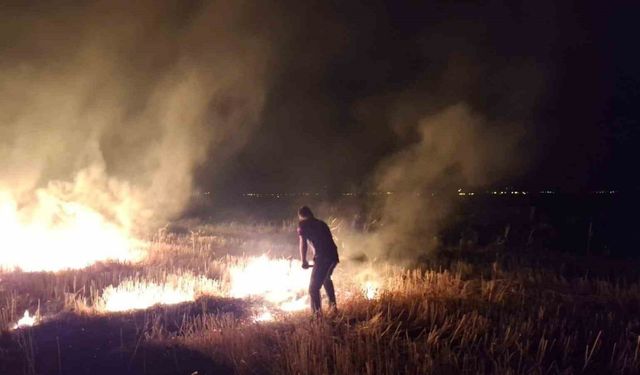 Muş’ta anız yangını korkuttu