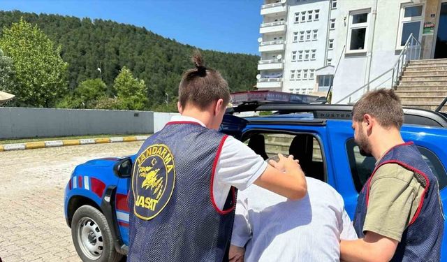 Ordu’da jandarma ekiplerinden denetimler: 31 şüpheli yakalandı