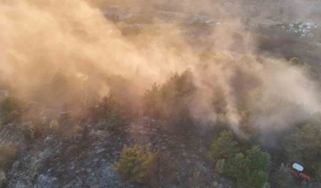 Ordu’da ormanlık alanda çıkan yangın söndürüldü