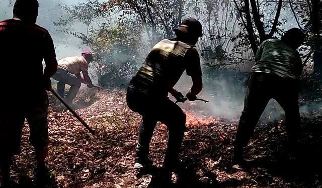 Ordu’nun iki ilçesinde çıkan yangın ekipler tarafından söndürüldü