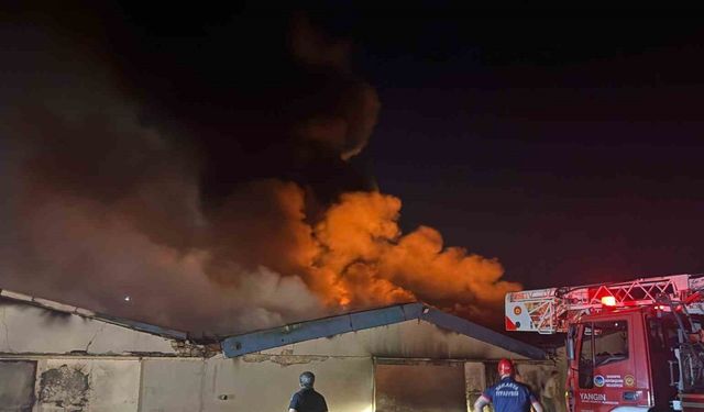 Sakarya’da boya fabrikasında yangın