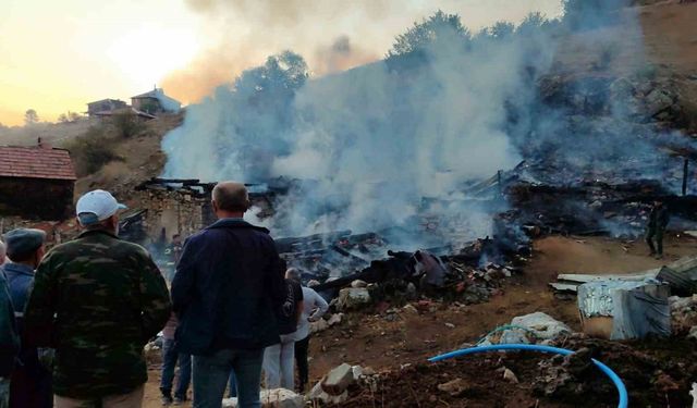 Sinop’ta çıkan yangında 2 ev, 2 ahır, 1 samanlık küle döndü
