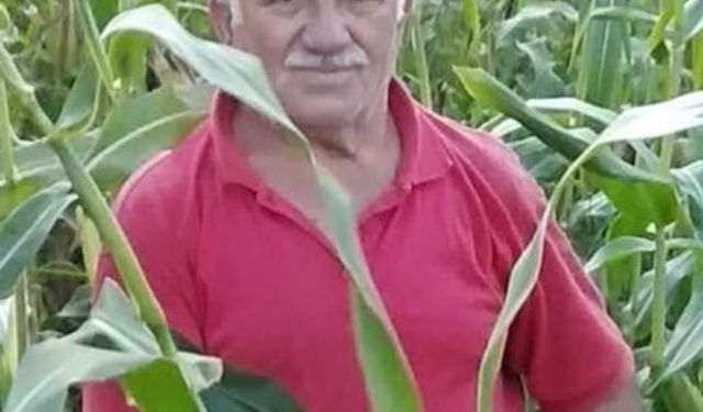Sinop’ta traktör devrildi: 1 ölü
