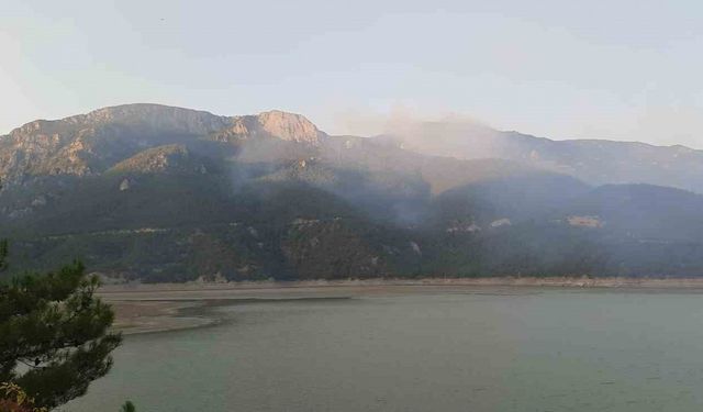 Sinop’taki orman yangınına havadan ve karadan müdahale sürüyor