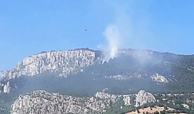 Sinop’taki orman yangınında soğutma çalışmaları devam ediyor