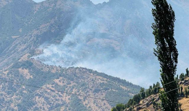 Şırnak’taki orman yangını 9 saatte kontrol altına alındı