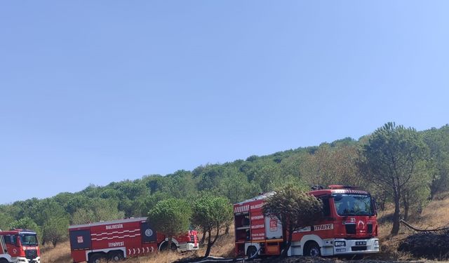 Susurluk’ta orman yangını kontrol altına alındı
