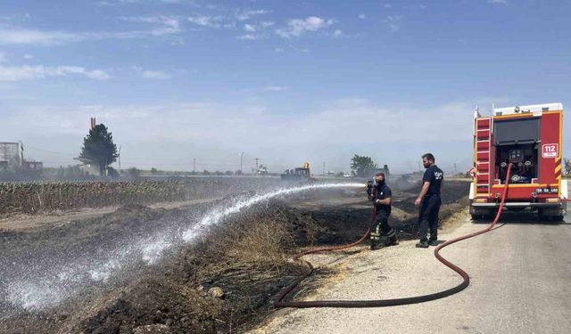 Tekirdağ’da çıkan yangın korkuttu
