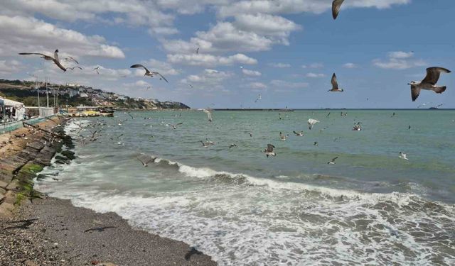 Tekirdağ’da poyraz deniz ulaşımını aksattı