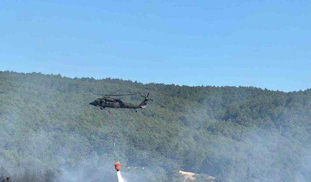 Uşak’ta orman yangınına havadan ve karadan müdahale ediliyor