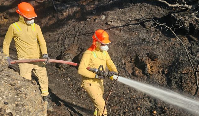 Uşak’taki orman yangını kontrol altına alındı