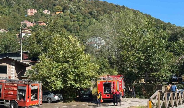 Zonguldak’ta ormanlık alanda çıkan yangın kısa sürede söndürüldü
