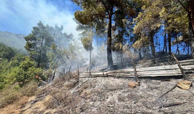 Adana’da orman yangını çıktı