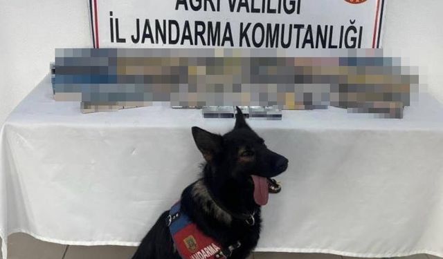 Ağrı’da bin 227 paket gümrük kaçağı sigara ele geçirildi