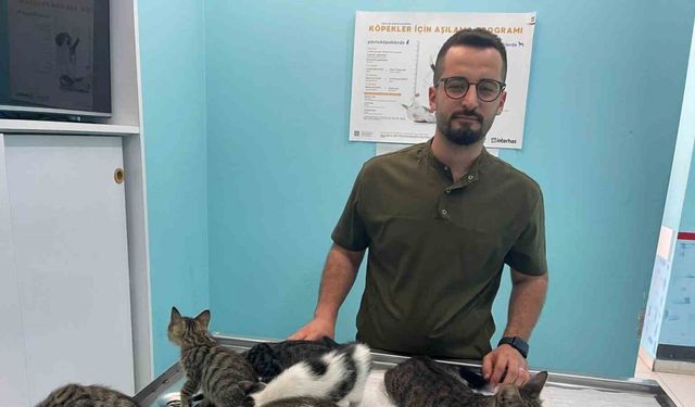 Alanya’da hayvana eziyet cezasız kalmadı