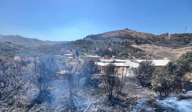 Antakya’da bahçe yangını