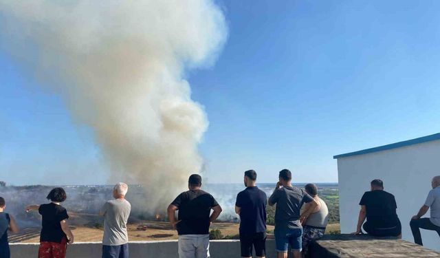 Antalya’da makilik alanda çıkan yangın zeytin ağaçlarına zarar verdi
