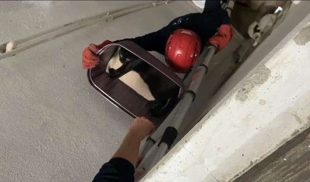 Balıkesir’de apartman boşluğuna düşen kedi yaralı olarak kurtarıldı
