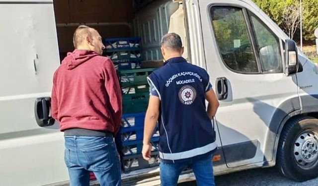Bilecik’te düzensiz göç denetimi