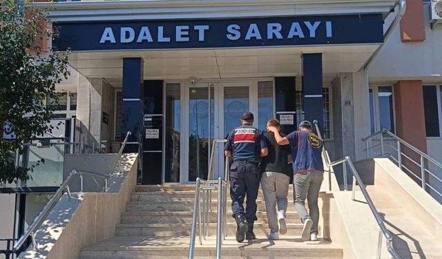 Bilecik’te nitelikli dolandırıcılık operasyonu