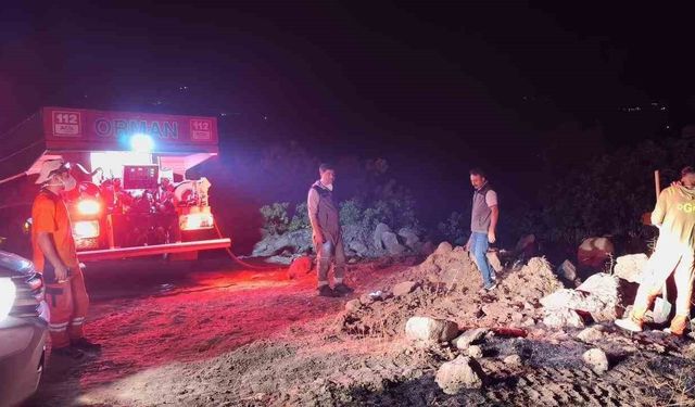 Bingöl’de çıkan orman yangınları kontrol altına alındı