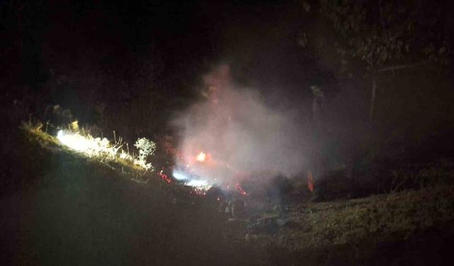 Bingöl’de çıkan yangın söndürüldü