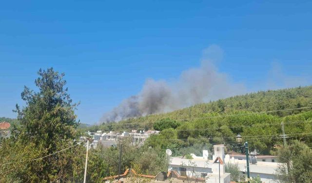 Bodrum’da orman yangını başladı