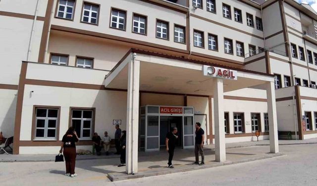 Bolu’da ayı saldırısında 1 kişi yaralandı: Saldırı sonrası av kararı