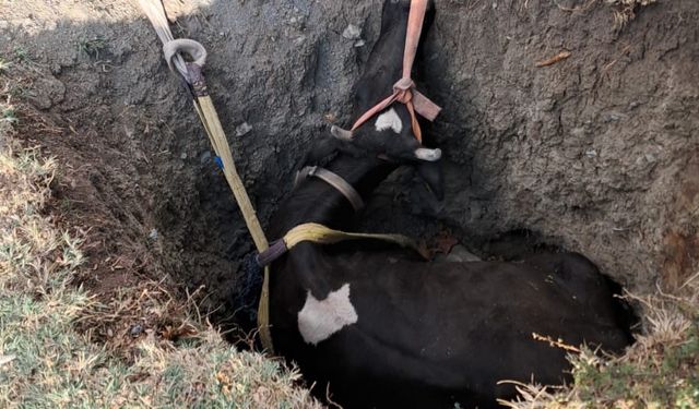 Burdur’da kuyuya düşen inek 2 saatlik çalışmayla kurtarıldı