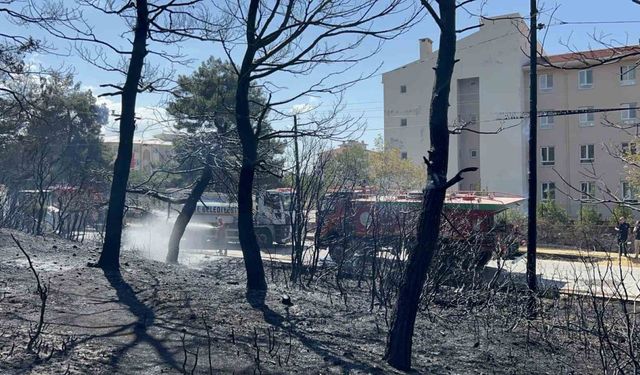 Çanakkale’de çıkan orman yangını kontrol altına alındı, okullar ve pansiyonlar ucuz kurtuldu