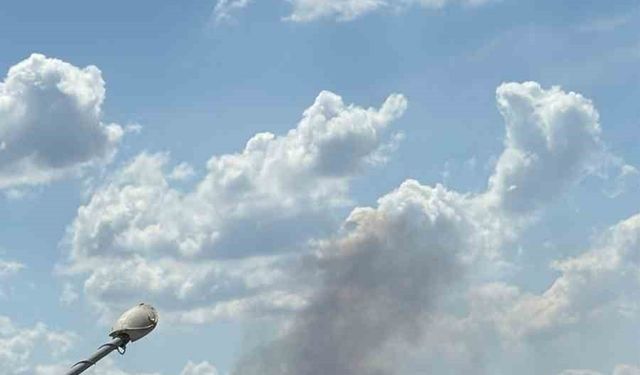 Çanakkale’de orman yangını: 2 okul tahliye edildi
