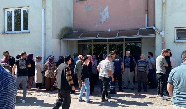 Ceviz toplarken elektrik akımına kapılarak hayatını kaybetti