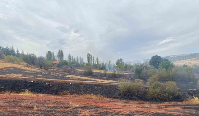 Çorum’da arazi yangını: 50 dönüm tarla ve 15 dönüm ağaçlık alan zarar gördü