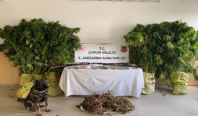 Çorum’da jandarmadan uyuşturucu tacirlerine operasyon: 2 tutuklama