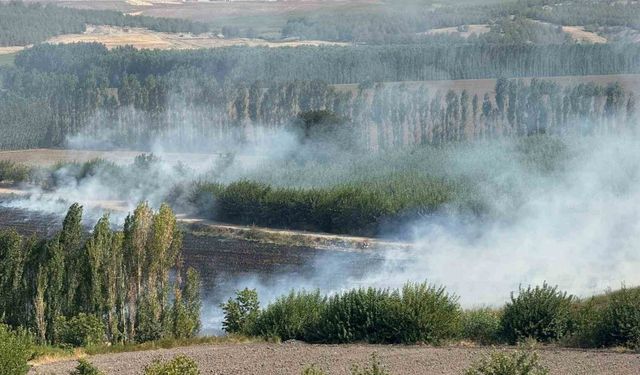 Diyarbakır’da Hevsel Bahçelerindeki mısır tarlasında anız yangını