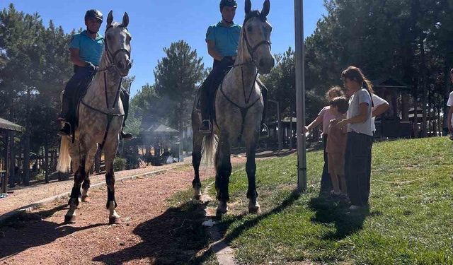 Elazığ’da Harput ve Cip, Atlı Jandarma Timlerine emanet