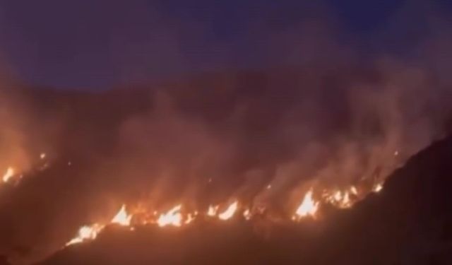 Erzincan’da örtü yangını ormana sirayet etmeden kontrol altına alındı