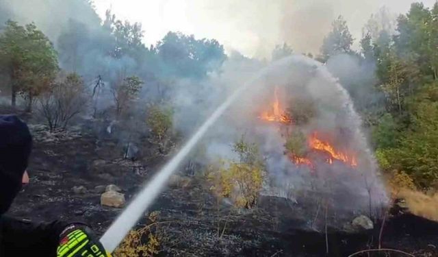 Hakkari’de 3 farklı bölgede çıkan yangın itfaiye ekiplerince söndürüldü