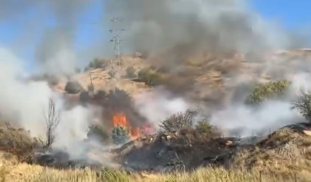 Hakkari’de anız yangını