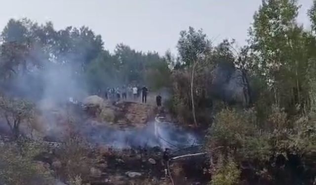Hakkari’de ormanlık alanda yangın