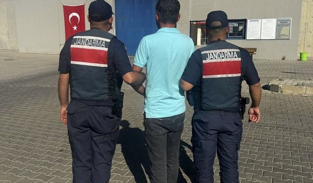 Hırsızlık suçundan hapis cezasıyla aranan şahsı jandarma yakaladı