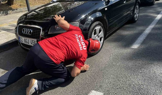 İtfaiyeden kedi kurtarma operasyonu