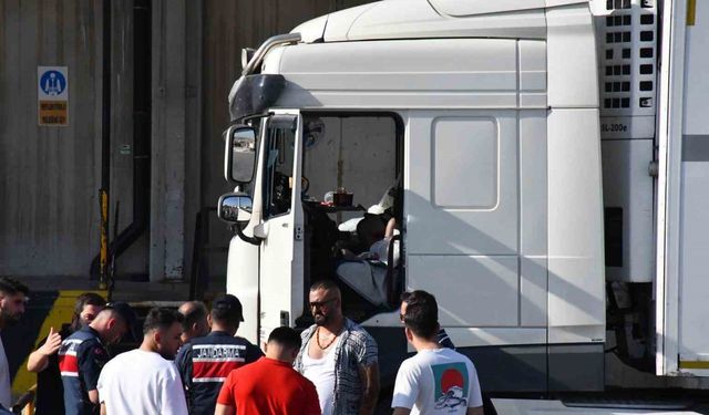 İzmir’de tır sürücüsü araç içerisinde ölü bulundu