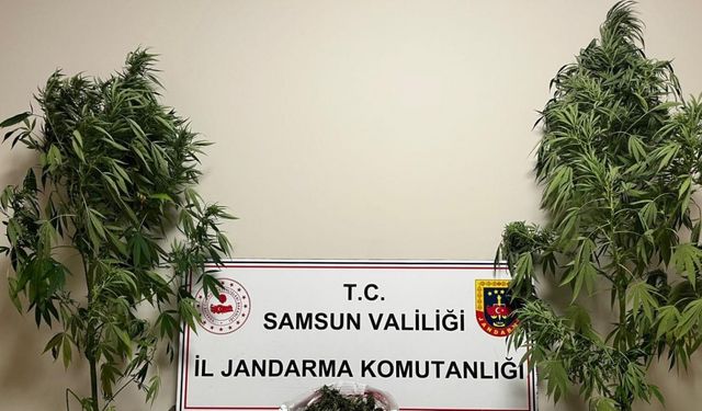 Jandarma 3 kilo 237 gram esrar ele geçirdi