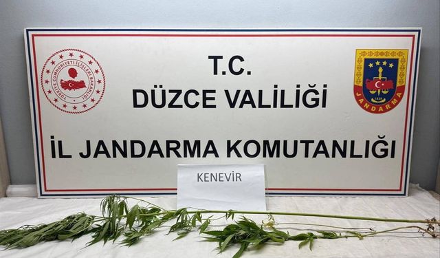 Jandarma’dan uyuşturucu operasyonu