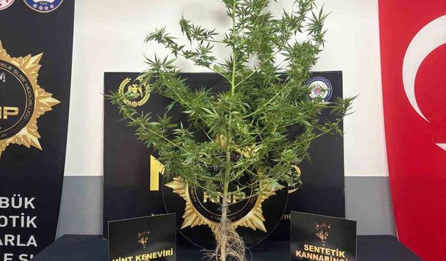 Karabük’te uyuşturucu operasyonu: 1 tutuklama