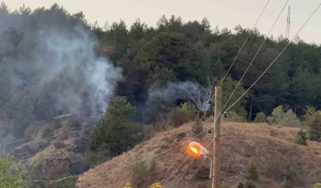 Karabük’te yangın 3 saatte kontrol altına alındı