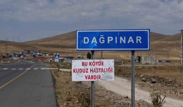 Kars’ta kuduz vakası: Bir belde karantinaya alındı